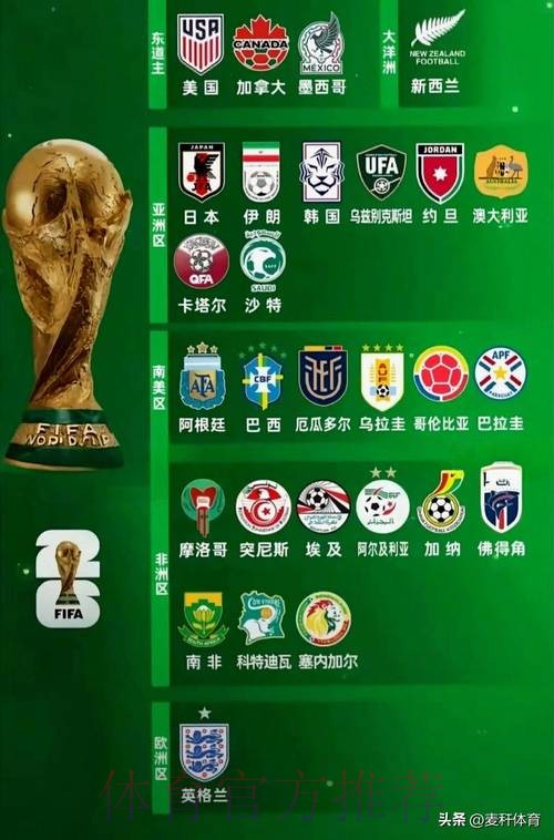 全面解析2026世界杯参赛球队实力与前景